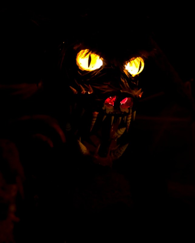 Loogaroo : le vampire métamorphe terrifiant du folklore caribéen